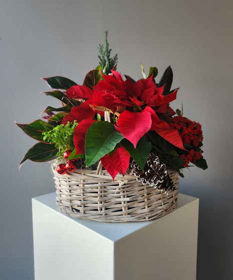 Holiday Planter