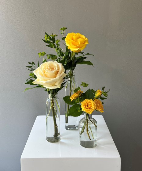 Lemon Grove Budvases