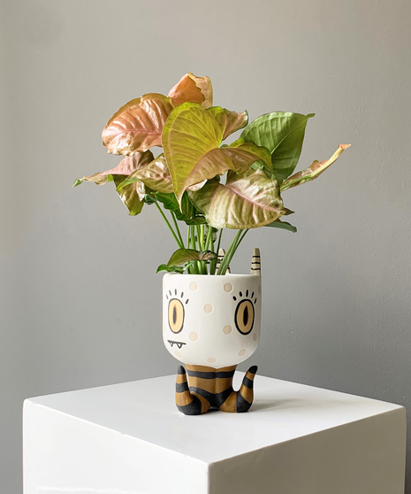 Tentacle Pot with Plant