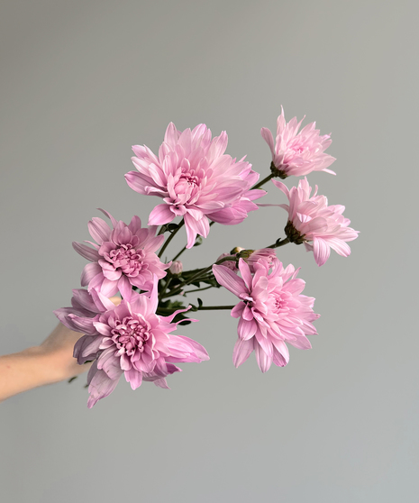 CUSHION POM-POM MUM
