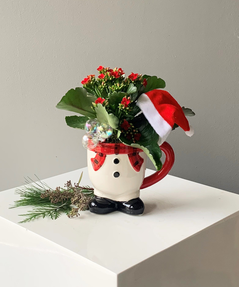 Frosty Mug with Kalanchoe