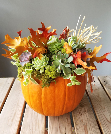 October 14th Design Class