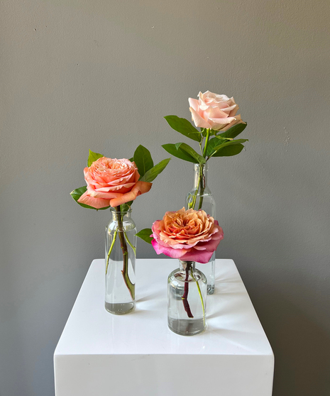 Pastel Garden Budvase