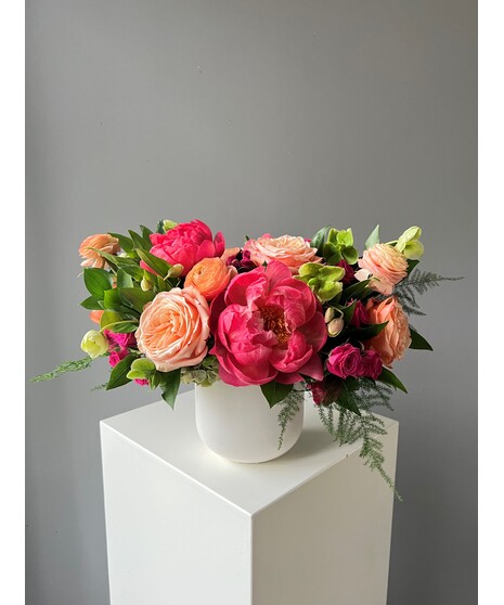 Peony Sunrise