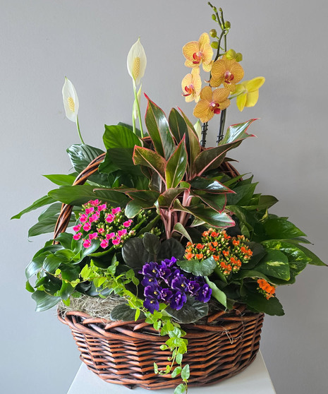 Blooming Planter