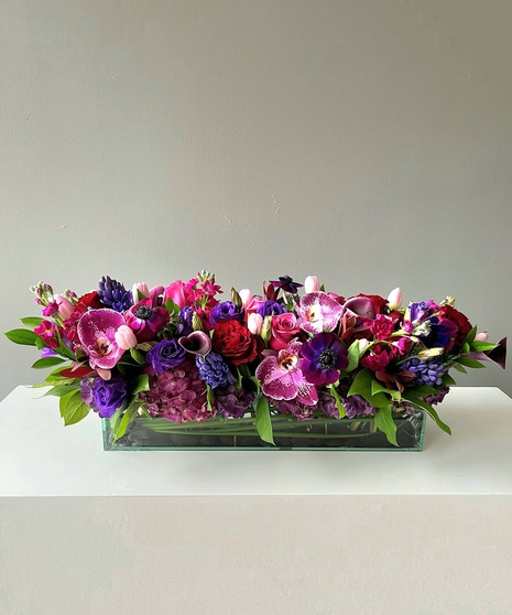 Purple Passion Long and Low