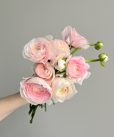 ranunculus