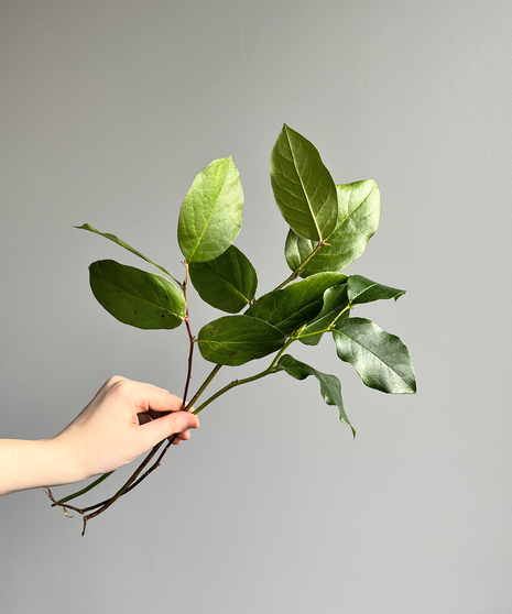 Magnolia Blossom Planter Filler Faux Stem Decor