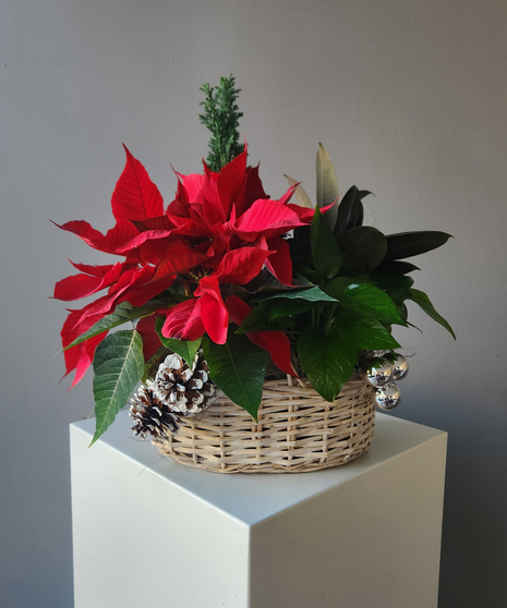 Holiday Planter