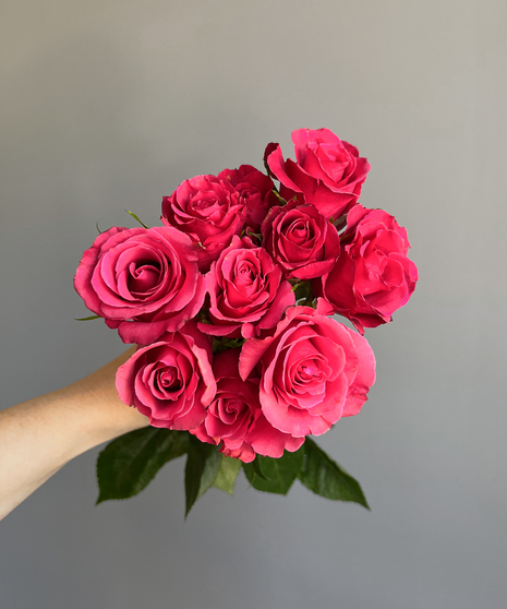 bunch of spray roses held in hand on grey background