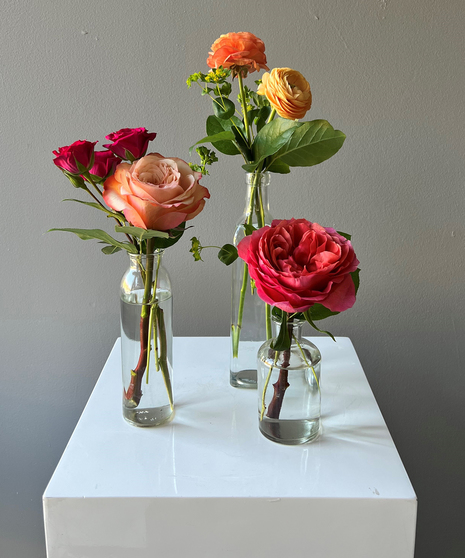Vibrant Garden Budvases
